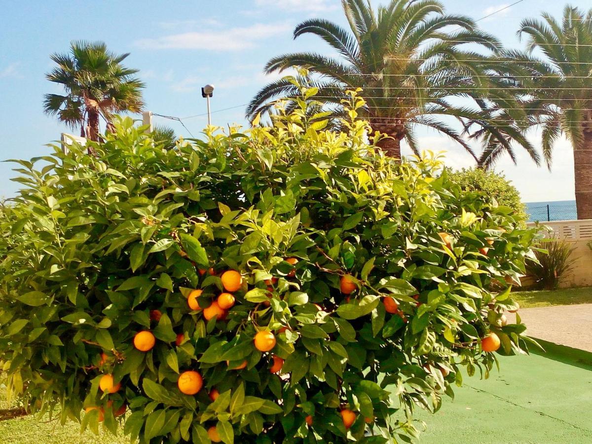 Apartamento Voramar Calpe Exterior foto